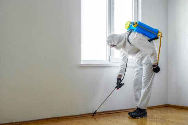 Best Residential Pest Control  in Eagle, CO